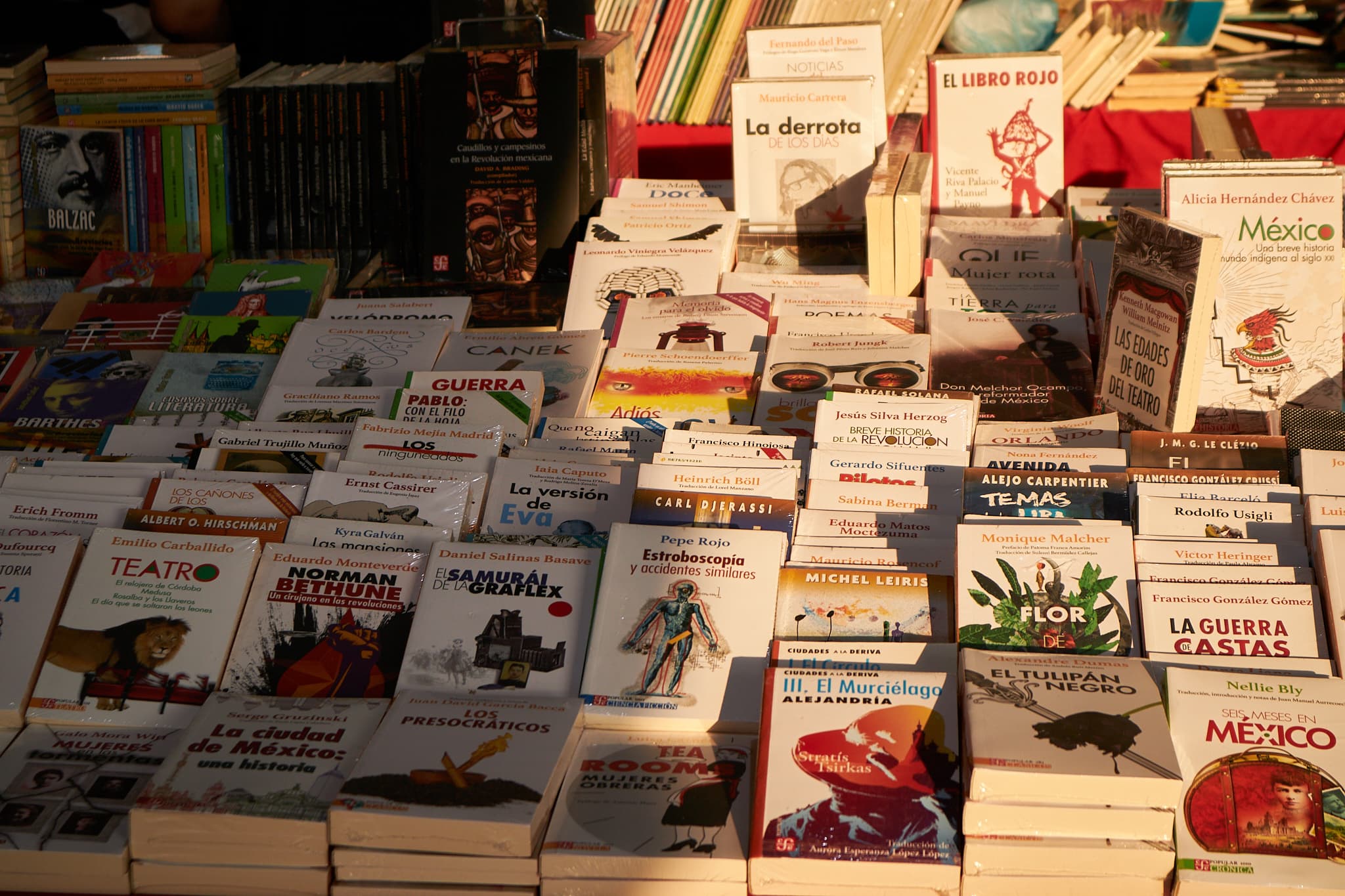 Feria del Libro Ecatepec 2026 — Día 2, foto 40