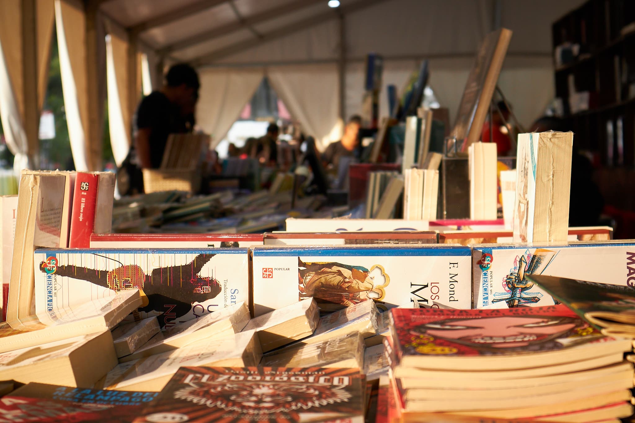 Feria del Libro Ecatepec 2026 — Día 2, foto 41