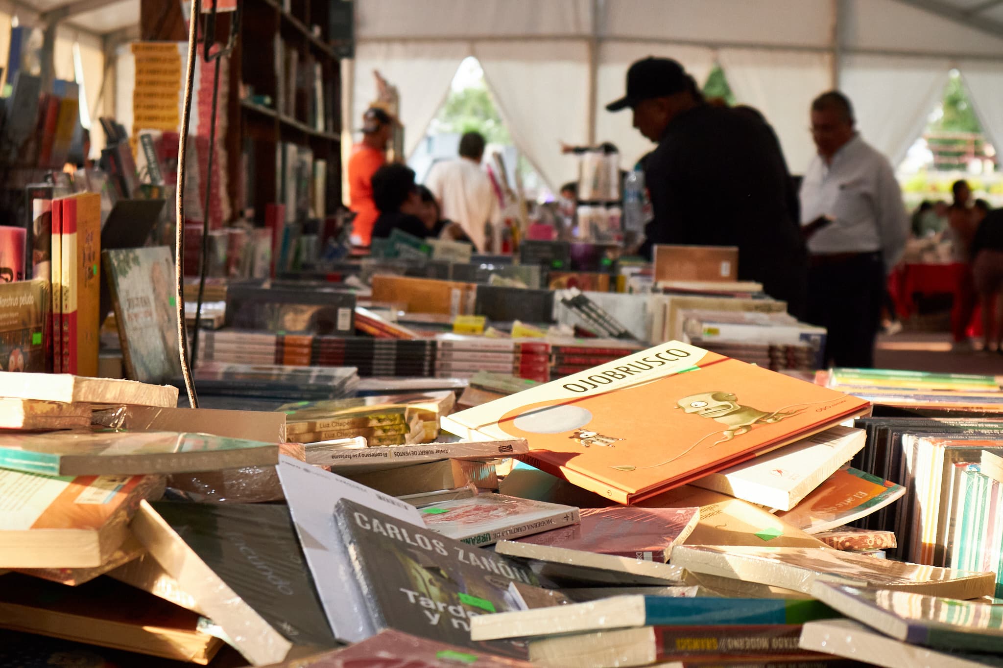 Feria del Libro Ecatepec 2026 — Día 2, foto 42